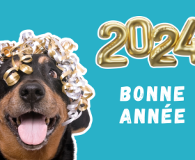 Bienvenue à 2024 avec Cours Animalia !