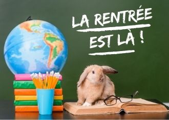 Petit lapin assis sur un livre sur un bureau avec un globe terrestre, des livres et un pot à crayons