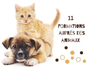 Formations animalières
