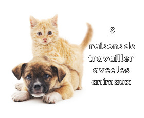 Boum 15 Juin 2022 - Page 4 9-raisons-de-travailler-avec-animaux