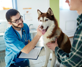 Formation santé animale : ASA