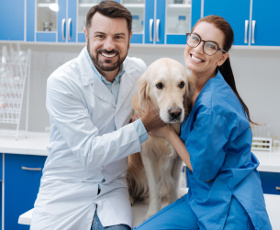 Formation auxiliaire de santé animale