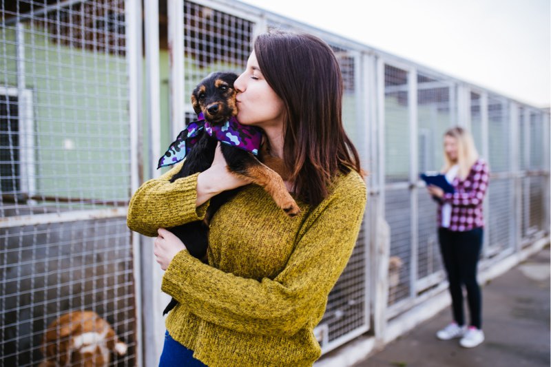 Association aider animaux