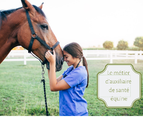 Métier auxiliaire de santé équine