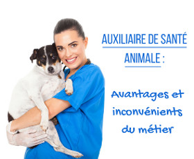 Auxiliaire de santé animale: avantages et inconvénients du métier