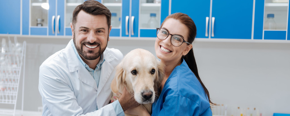 8 raisons de devenir auxiliaire de santé animale