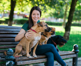 Pet sitter : une activité qui s'exerce à son compte