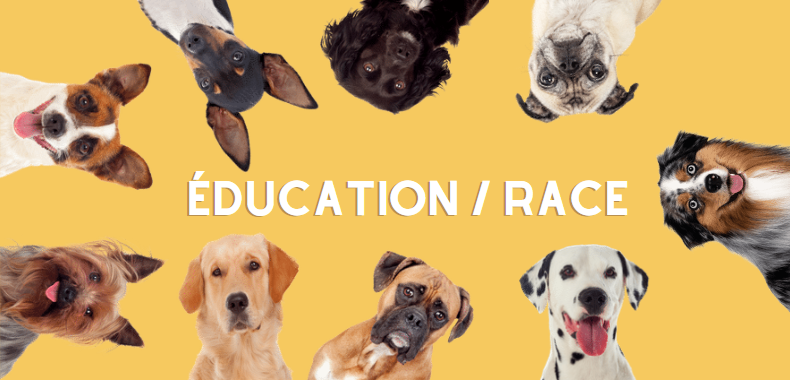 education des chiens selon leur race