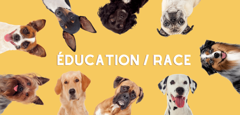 Chien et chiot : toutes les races de chiens et conseils d'élevage