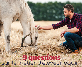 9 questions courantes sur le métier d'éleveur de chevaux