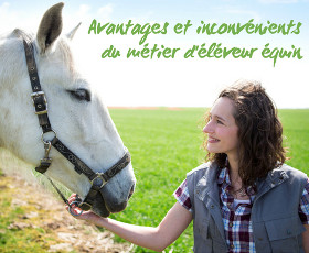 Avantages et inconvénients de l'élevage de chevaux