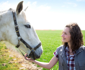 Eleveur d'animaux : un métier à exercer essentiellement en indépendant