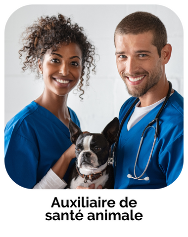 formation auxiliaire de santé animale