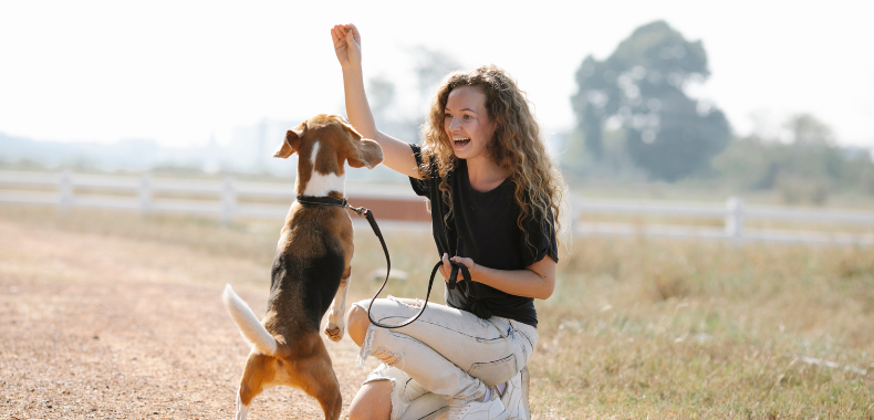 formation educateur chien