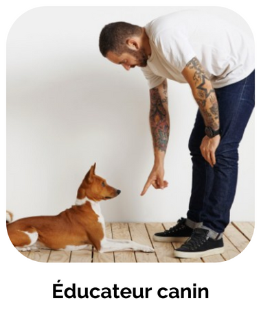 formation educateur canin
