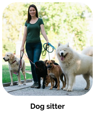 formation dog sitter