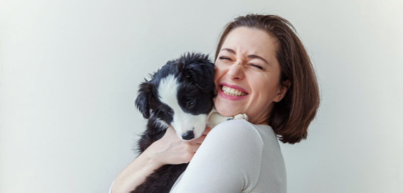 quelle formation suivre pour travailler avec des chiens