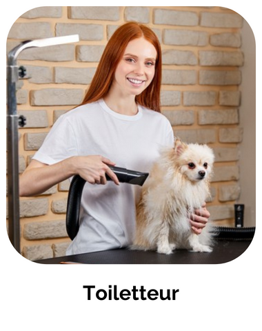 formation toiletteur chiens