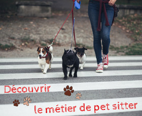 Le métier de pet-sitter