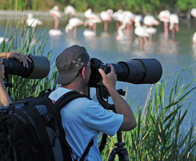 Métier avec les animaux insolite : photographe