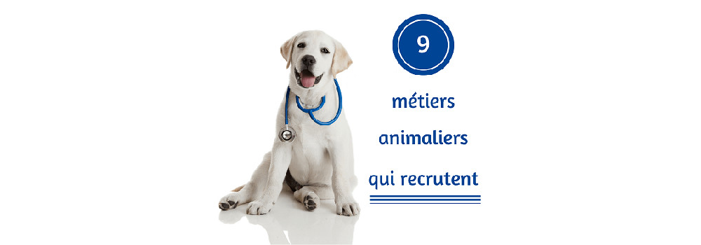 9 métiers animaliers qui recrutent