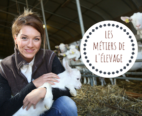 7 métiers de l'élevage animalier