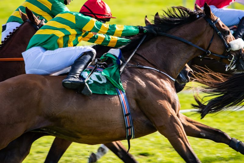 Jockey