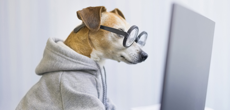 compétences métiers animaliers