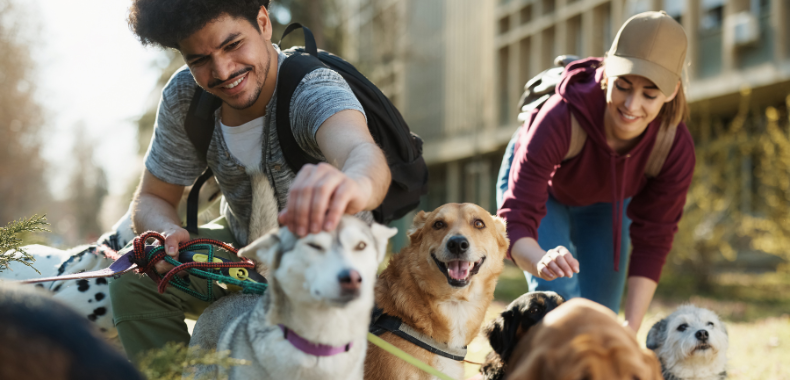 qualités d'un bon pet sitter