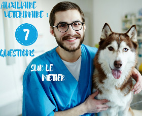 7 questions-réponses sur le métier d'auxiliaire vétérinaire