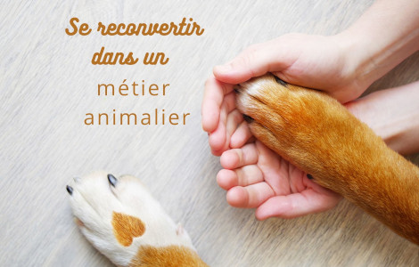 Comment se reconvertir dans un métier avec les animaux