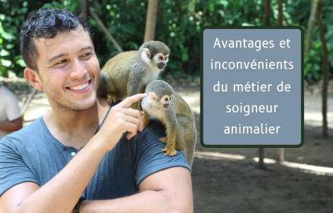 Les avantages et inconvénients du métier de soigneur animalier