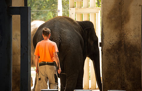 7 étapes pour se reconvertir dans le métier de soigneur animalier