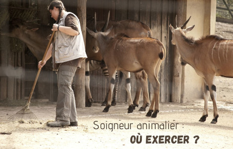 Où exercer le métier de soigneur animalier