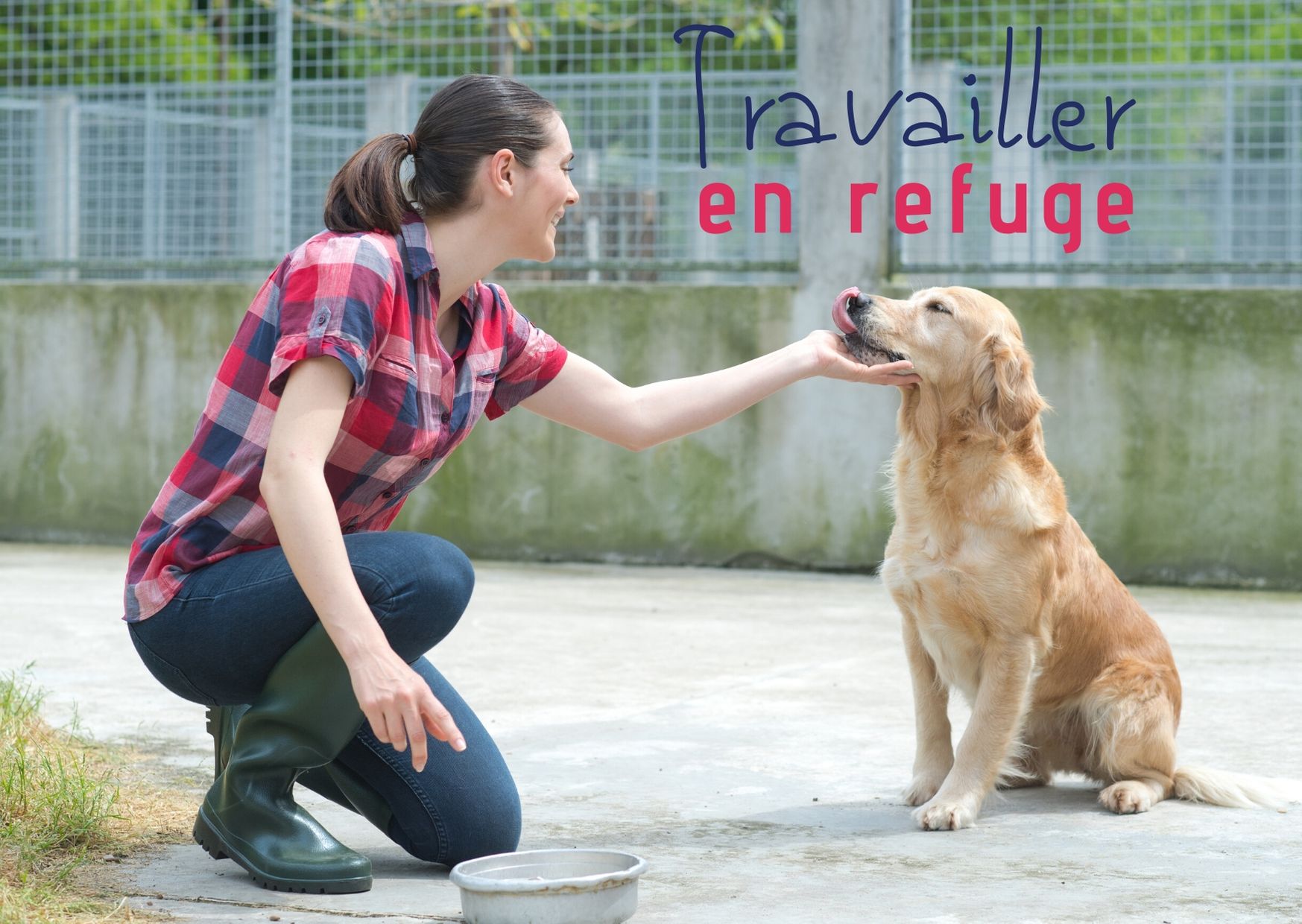 Travailler en refuge