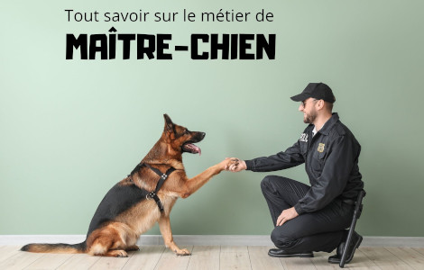 Découvrez le métier de maître chien