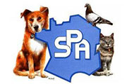 Logo spa