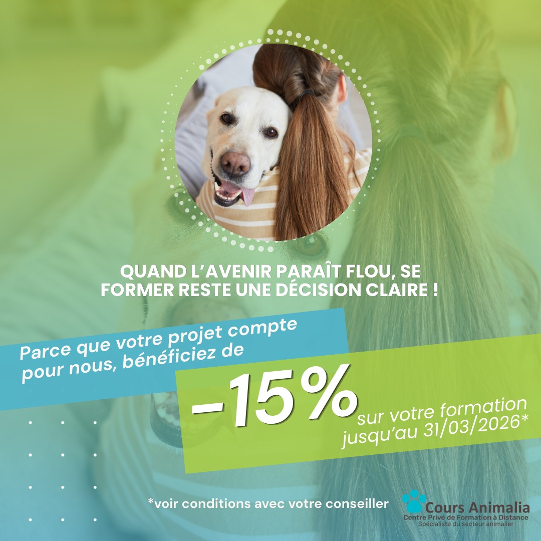Maréchal-ferrant - Fiche métier (salaire, formation, qualités requises…) - Le Parisien Etudiant