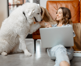 Comment se former en ligne aux métiers animaliers ?