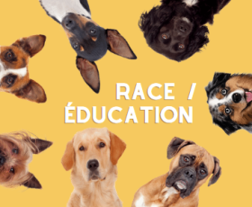 L'éducation d'un chien est-elle différente selon sa race ?