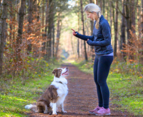 Formation pour adultes : éducateur canin, un métier passion