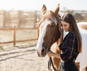 Eleveur de chevaux