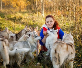 Trouver un stage éducateur canin
