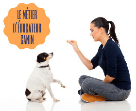 Educateur canin