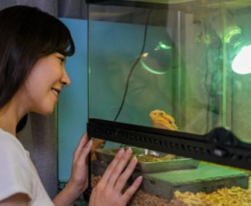 Pet Sitter : L'incroyable boom des nouveaux animaux de compagnie