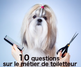 10 questions fréquentes sur le métier de toiletteur canin
