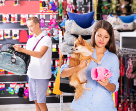 Avantages et inconvénients du métier de vendeur en animalerie