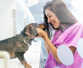 7 idées reçues sur le métier d’auxiliaire de santé animale