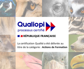 Cours Animalia est certifié Qualiopi !