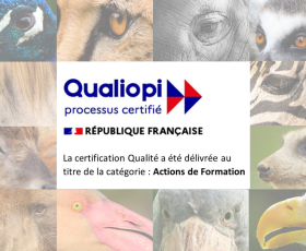 Cours animalia est une seconde fois certifié Qualiopi